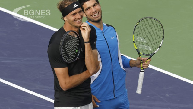 An invasion of bees interrupted the match between Alexander Zverev and Carlos Alcaraz for nearly 2 hours